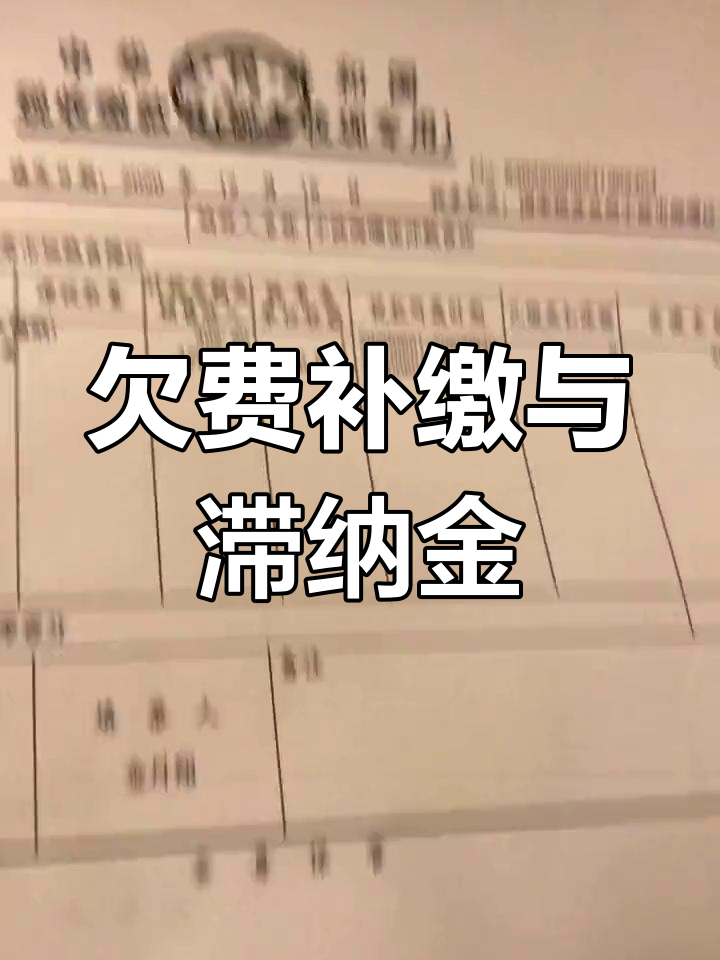 用人单位补缴社保费后产生的滞纳金谁承担？