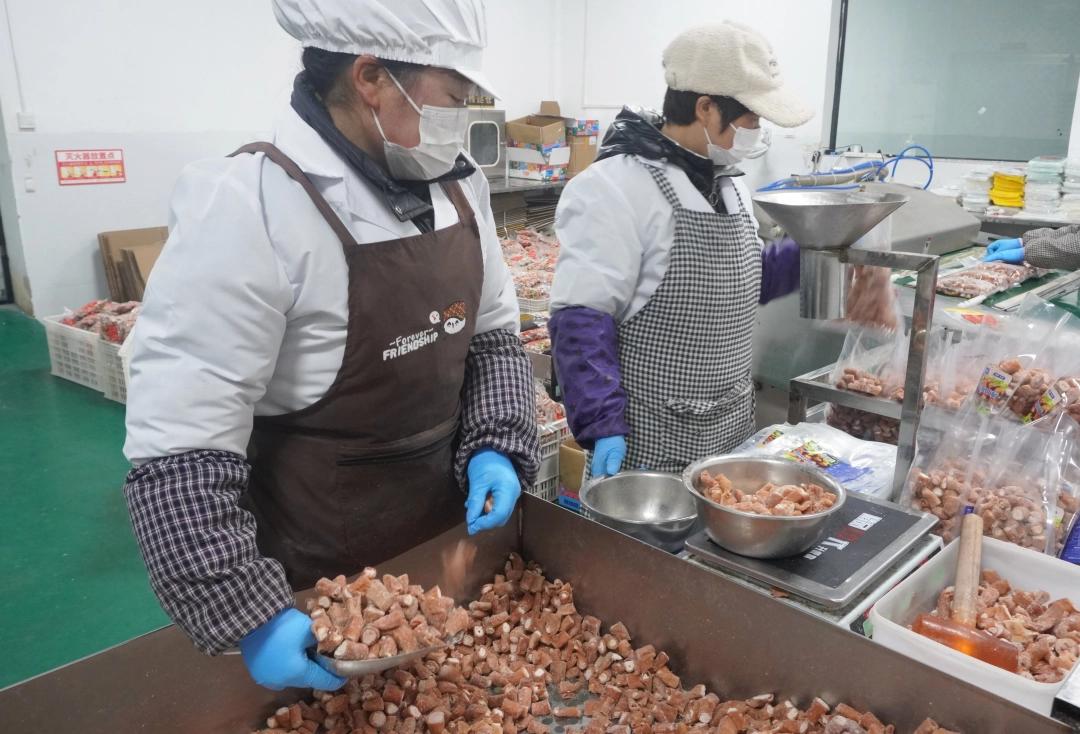 安顺市人力资源和社会保障局：织密就业服务“一张网” 构建多元化新格局