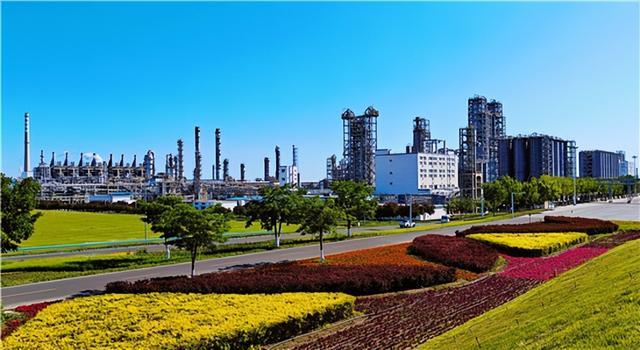 聚力提质 赋能发展