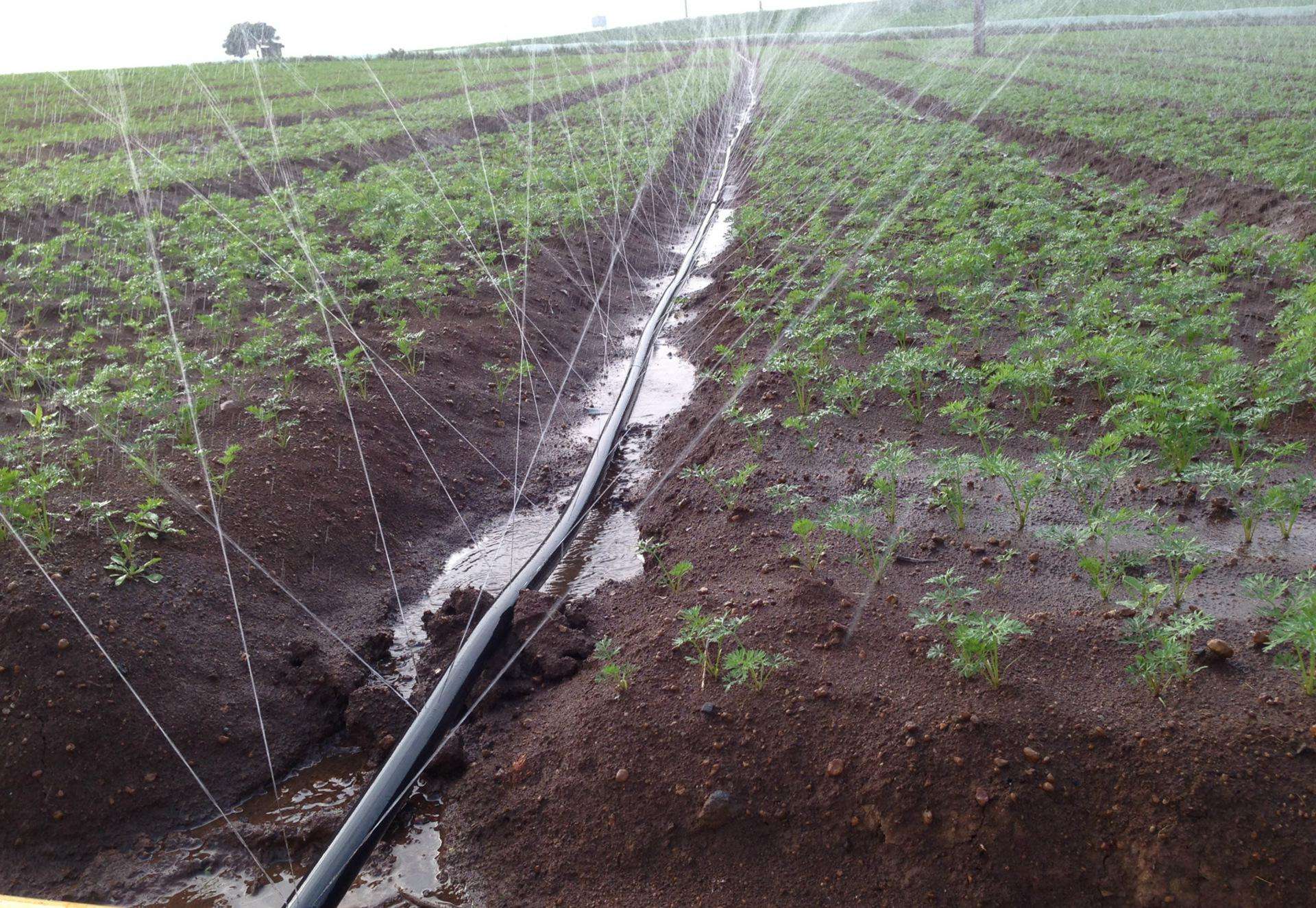 襄阳：人力资源服务“精准滴灌”制造业